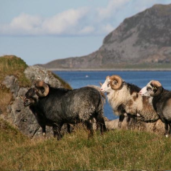 NEW Handmade Knit Lace Wool Socks - Picture 6 of 8